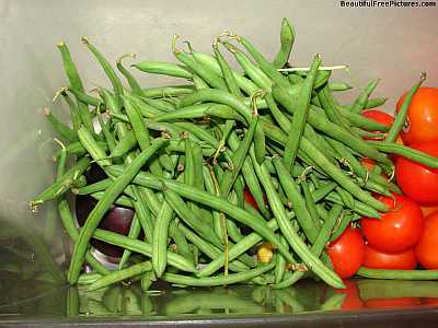 Veg