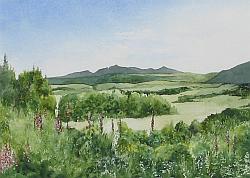 Arran Art Gallery - Whiting Bay FilmClub.jpg