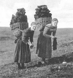 CarryingPeat.jpg
