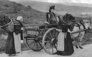 HorseAndCart.jpg