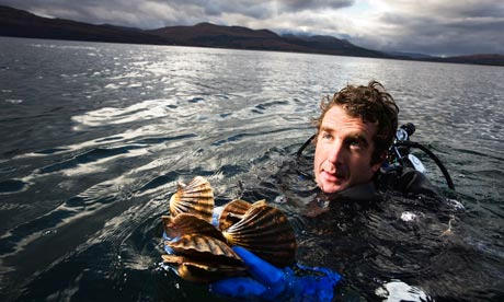 Scallops1.jpg